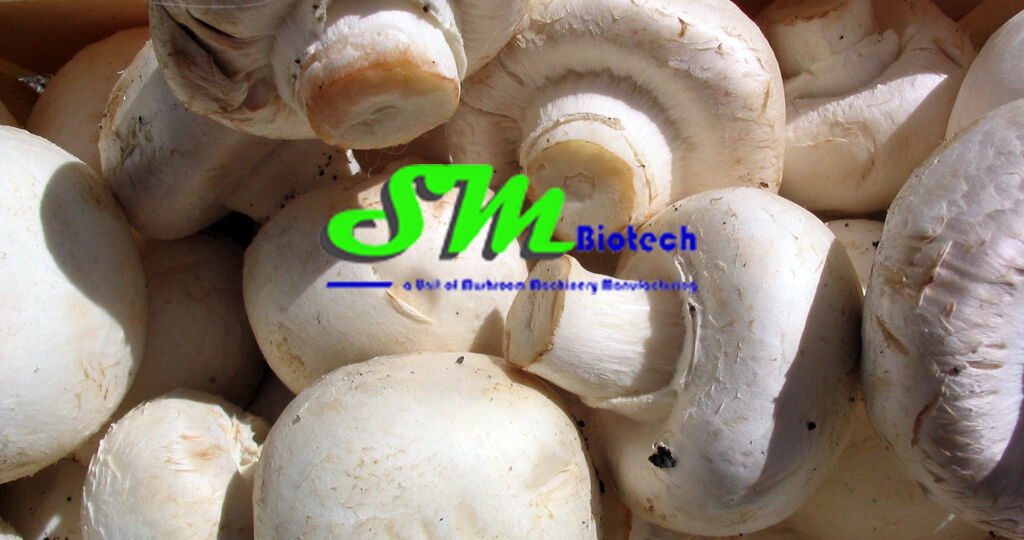 mushroom machines