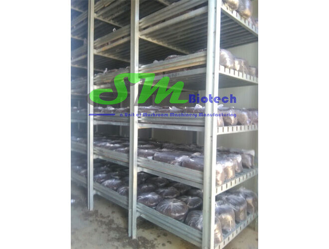 Mushroom Growing Room Racks 1 copy