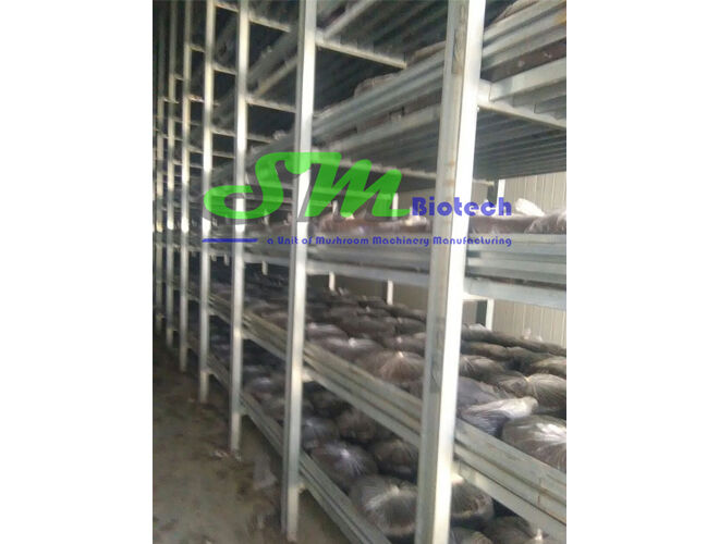 Mushroom Growing Room Racks 2