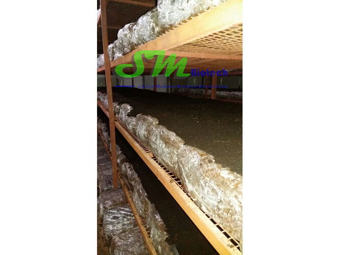 Mushroom Growing Room Racks