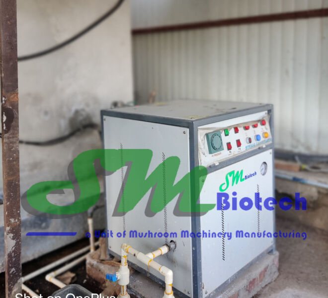 Steam Generator for Casing